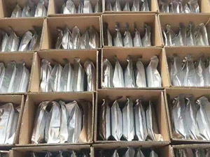 醫用級拋光樹脂