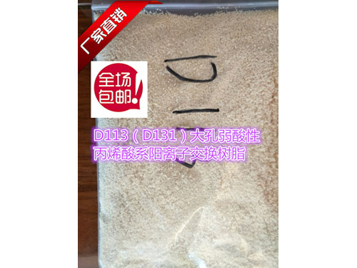 SNT-D113大孔弱酸性丙烯酸系陽離子交換樹脂